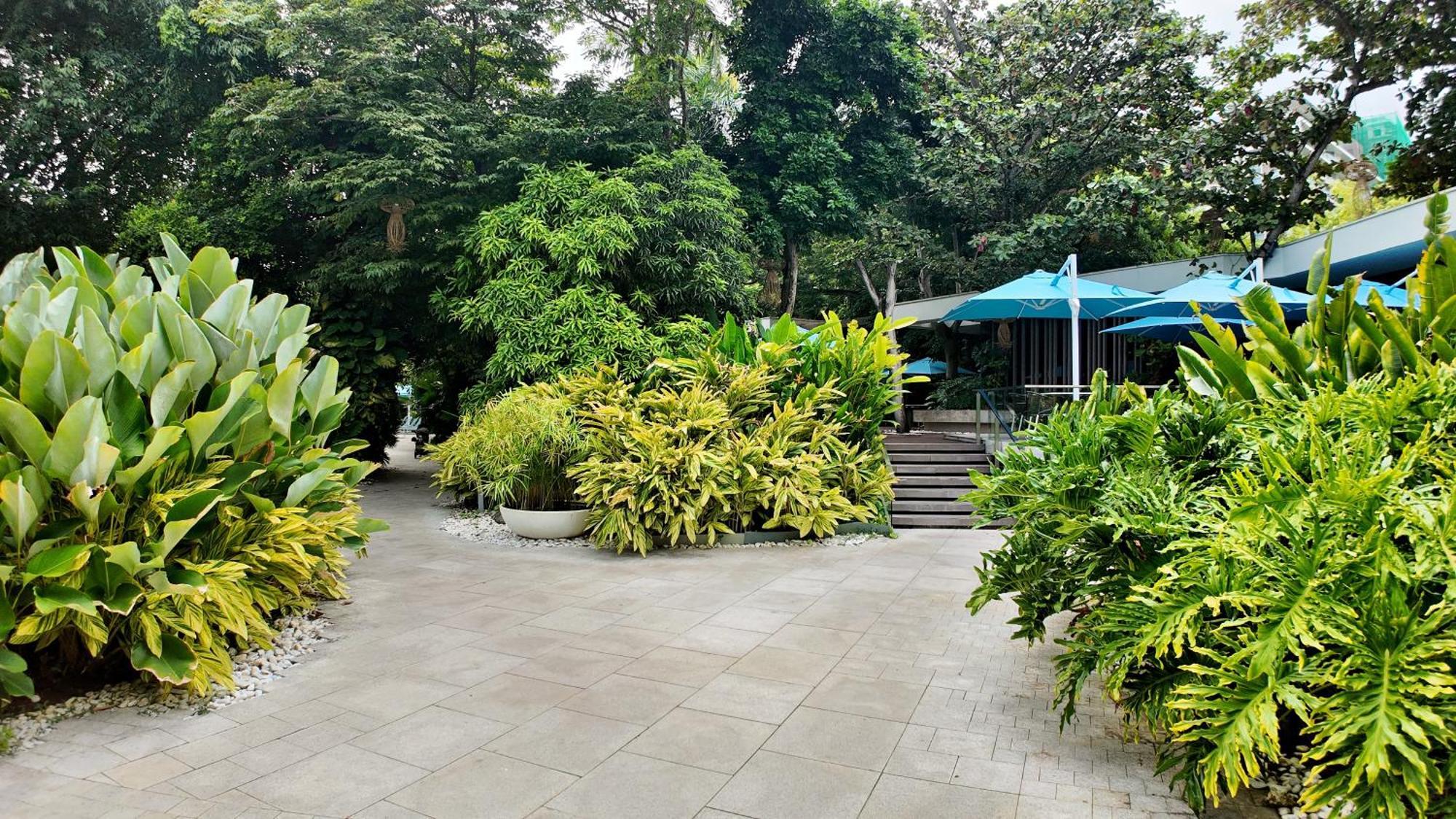 Dominiks Stylish Resort Gem Ocean View Pool Queen Bed At Tambuli 8 Floor Fast Wifi 麦克坦 外观 照片